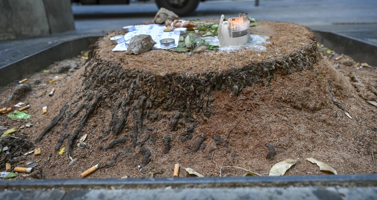 La família de la Shamira, dolguda pel buidatge sobtat de l’altar al costat de la palmera del Raval