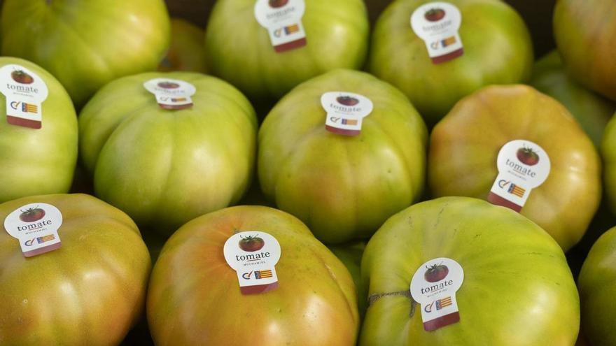 ¿Puede la sombra mejorar el tomate de Muchamiel? Un estudio busca la respuesta