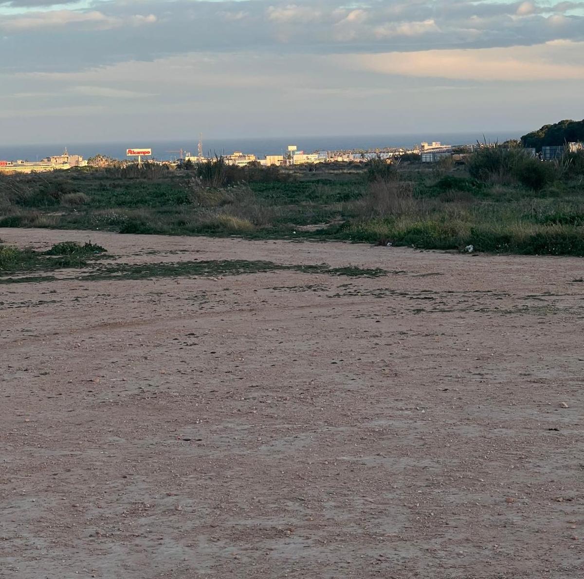 Vista general de la parcela