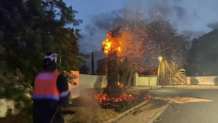 Los bomberos apagan una palmera en llamas en Lanzarote