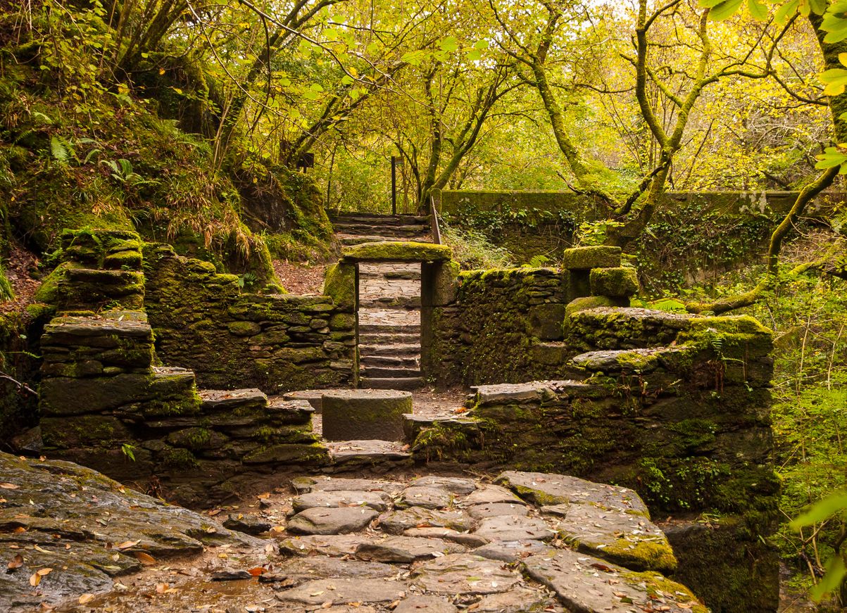 Las huellas de la presencia humana se hacen evidentes en el parque