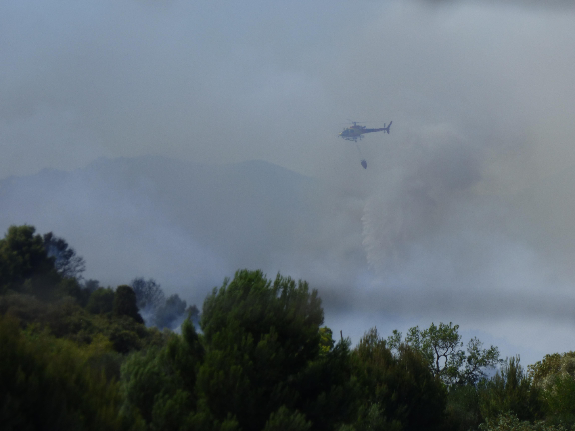 Un incendi ha cremat 3,5 hectàrees al costat de l'Ap7 a Vilafant