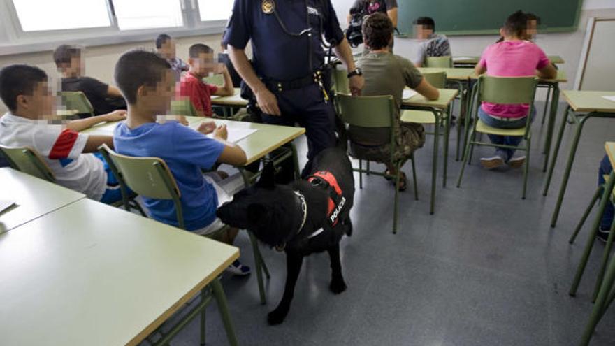 Uno de los perros de la Unidad Canina de la Policía Local en un aula con alumnos el miércoles.