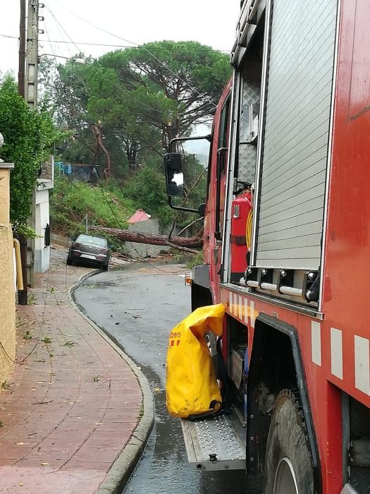 Destrosses a Riells i Viabrea per un tornado