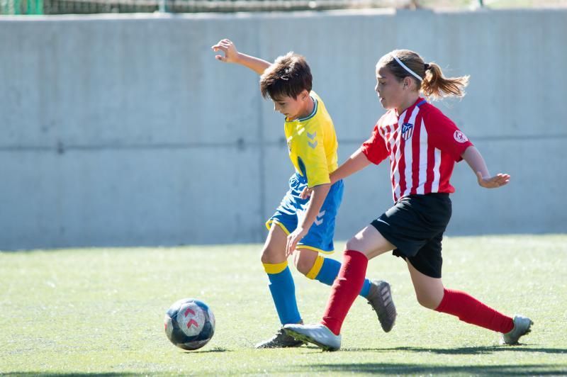 Las Palmas - Huracán (alevines)  | 01/02/2020 | Fotógrafo: Tony Hernández