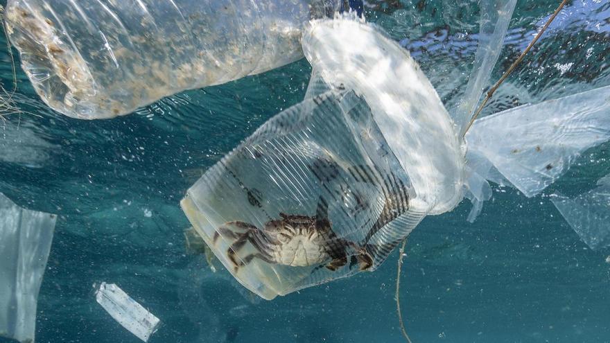 ¿Qué consecuencias tiene la contaminación por plástico en los océanos?