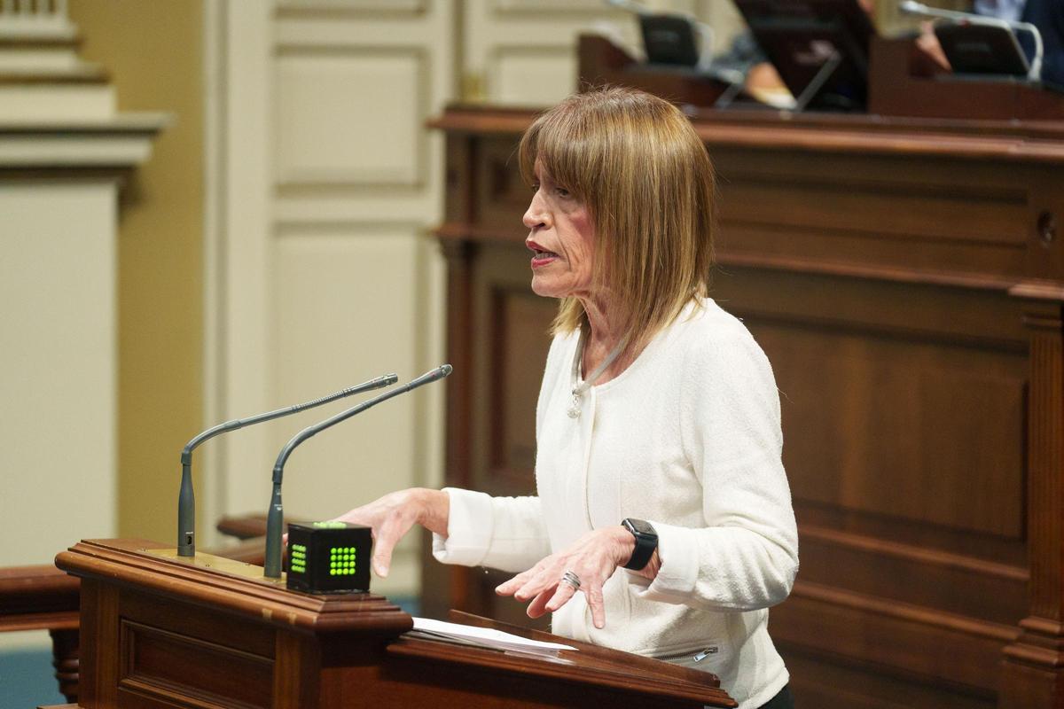 Esther González, diputada de NC-BC, en su intervención en el debate.