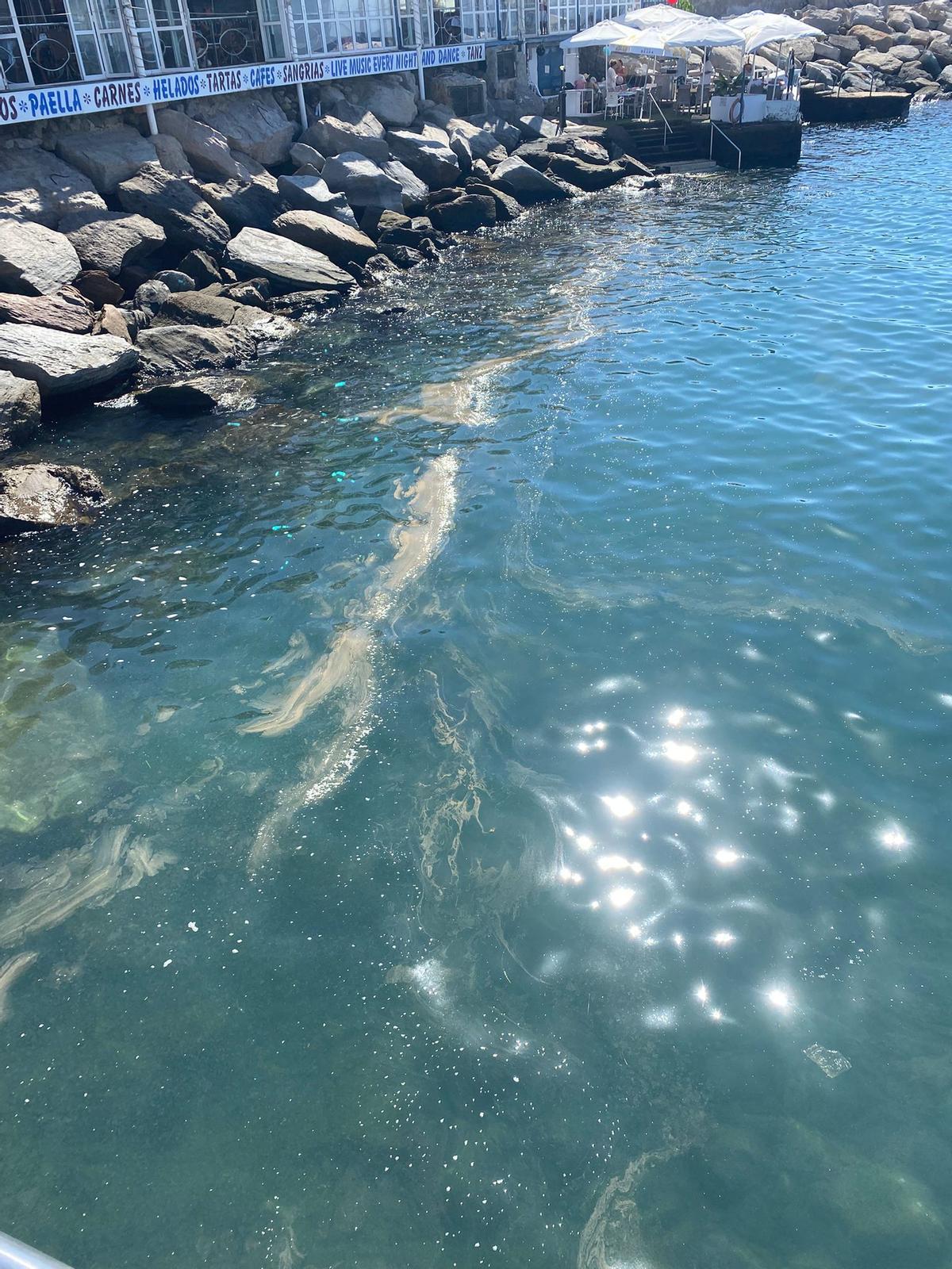 Mancha en el mar en Puerto Rico.