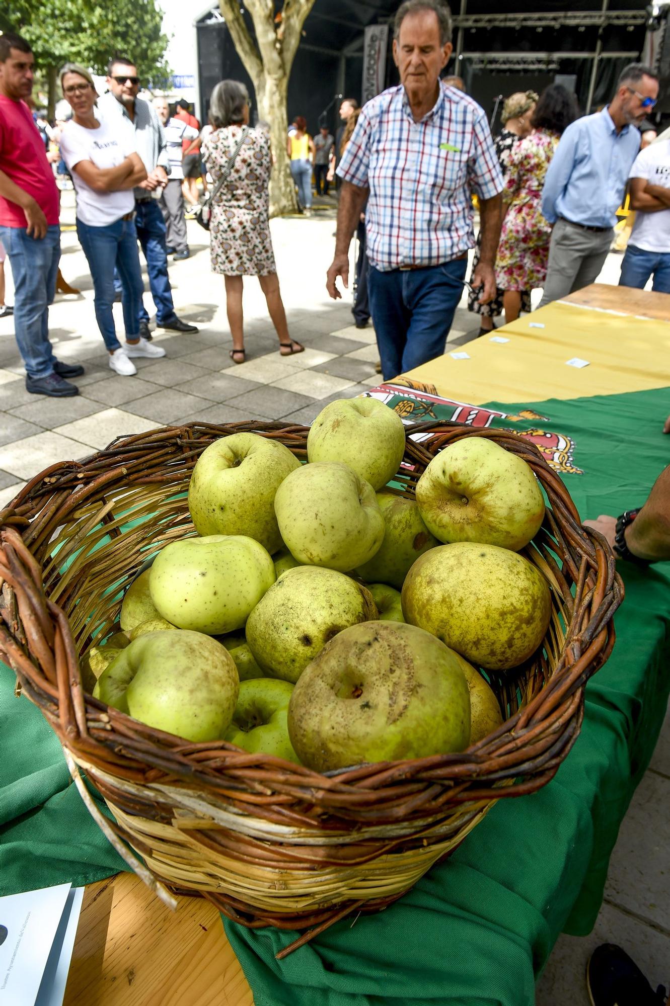 Fiestas de la manzana de Valleseco