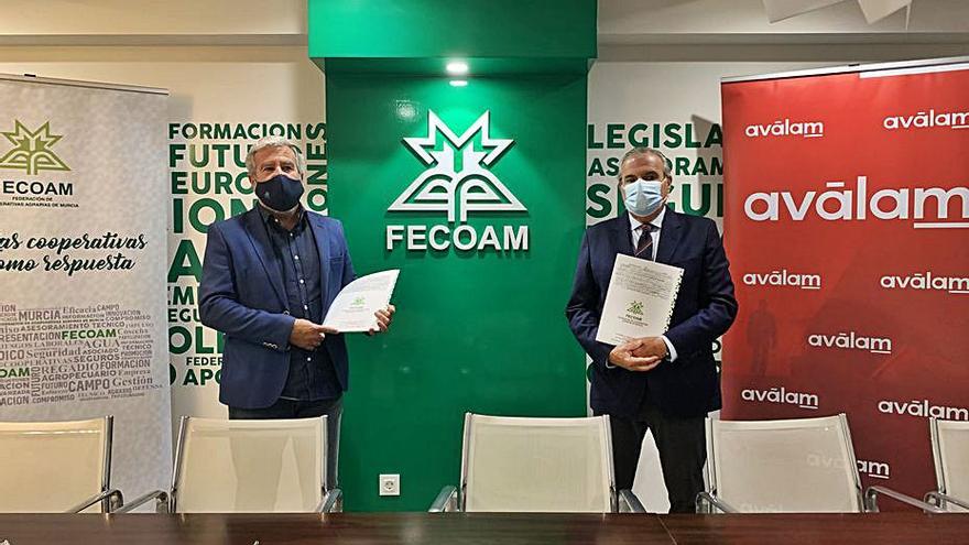 Firma del convenio de
Fecoam y Avalám, el
pasado lunes.  fecoam