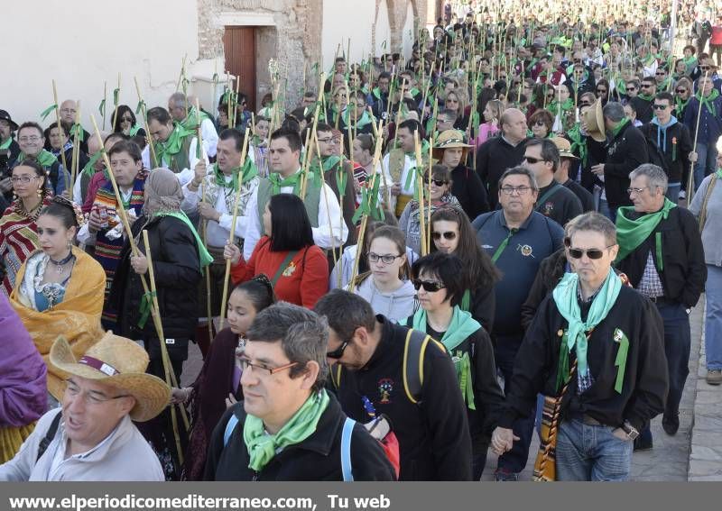 GALERÍA DE FOTOS - Romería Magdalena 2014 (5)