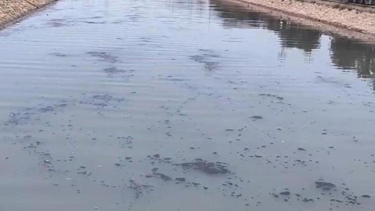 Estado de las aguas en el tramo final del viejo cauce.