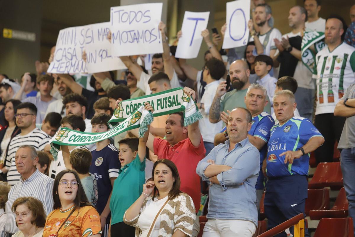 El Córdoba Futsal - Viña Albali Valdepeñas, en imágenes El Córdoba Futsal - Viña Albali Valdepeñas, en imágenes