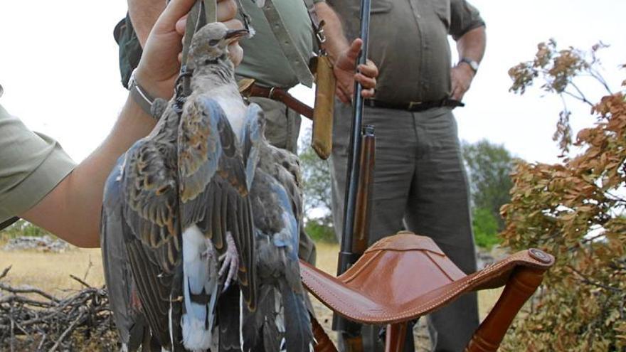 La temporada de caza menor se inicia para 30.000 cazadores