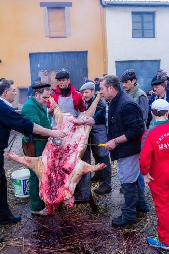 Matanza del cerdo en Tábara