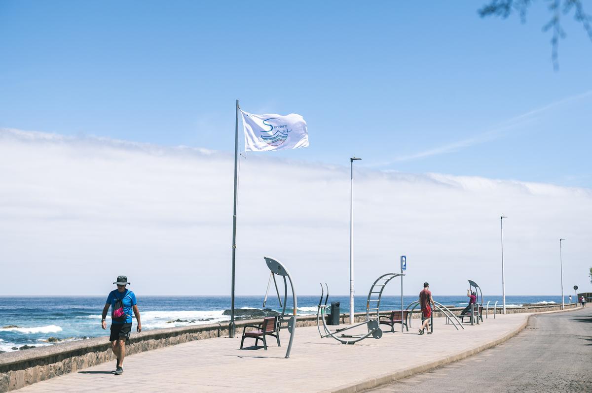Camino de la Costa de Punta del Hidalgo.