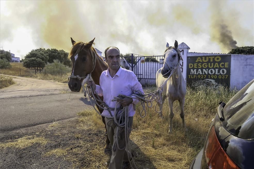 Incendio forestal en Cáceres