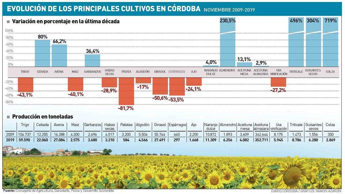 La escasa rentabilidad provoca un gran cambio de cultivos en Córdoba