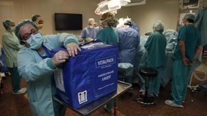 zentauroepp15731063 trasplante transplante180606155407