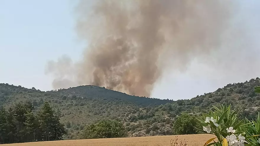 VÍDEO | Un incendio en Tolva (Huesca) afecta a masa forestal y agrícola