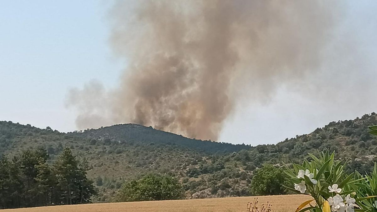 VÍDEO | Un incendio en Tolva (Huesca) afecta a masa forestal y agrícola