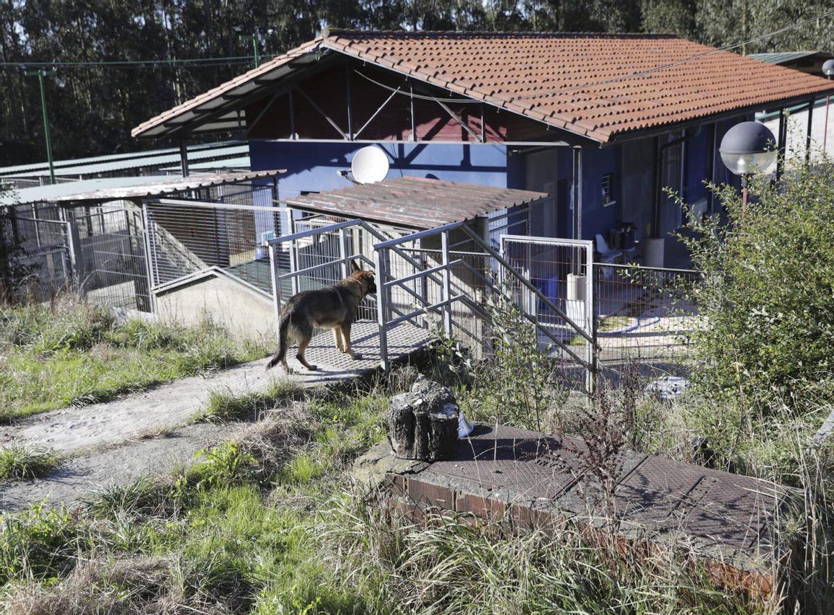Parte de las instalaciones del albergue de Serín.