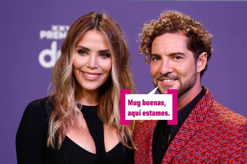 Rosanna Zanetti y David Bisbal en un photocall