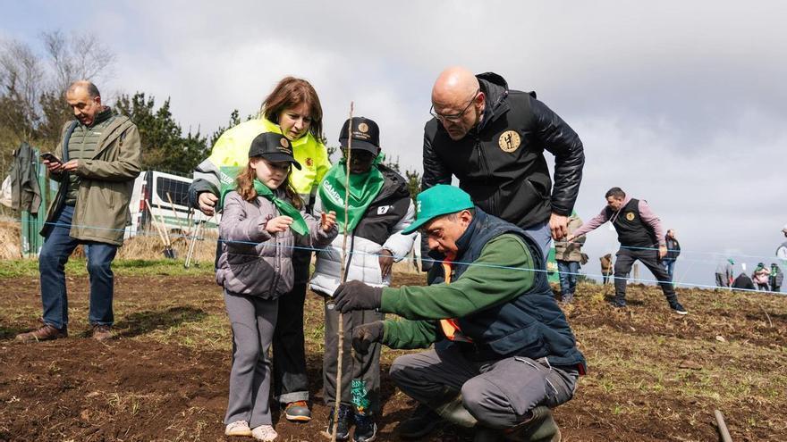 El colegio Lorenzo Novo Mier de Oviedo participa en la plantación de 1.200 manzanos en Pravia