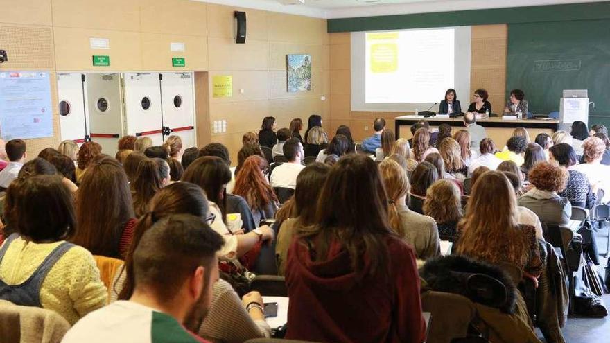 Participantes en las Jornadas de Investigación en Enfermería, en el &quot;Virgen de la Concha&quot;.