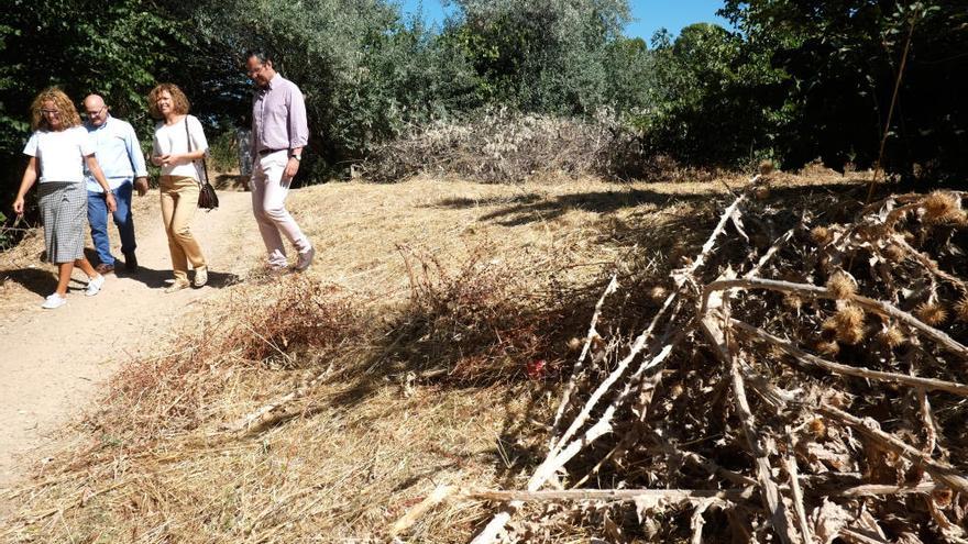 Los concejales del Partido Popular en el bosque de Valorio.