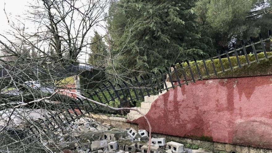 Cáceres queda fuera de la declaración de zona catastrófica y estudia recurrir en los juzgados la decisión del Gobierno