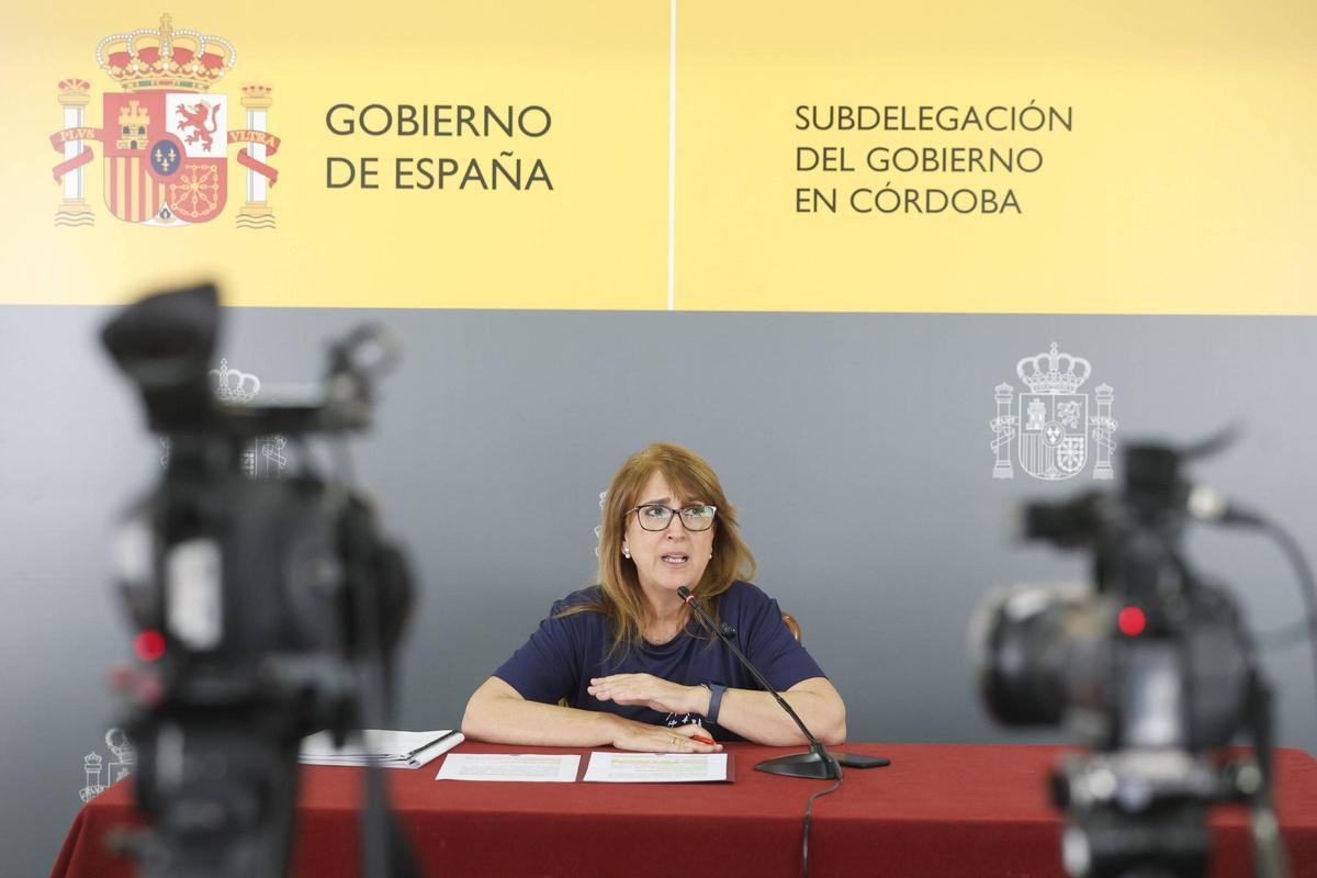 La subdelegada del Gobierno, Ana López Losilla, este jueves en su comparecencia.