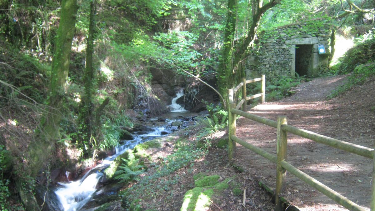 Sendero que discurre al lado del regato Eifonso, con un molino al fondo.