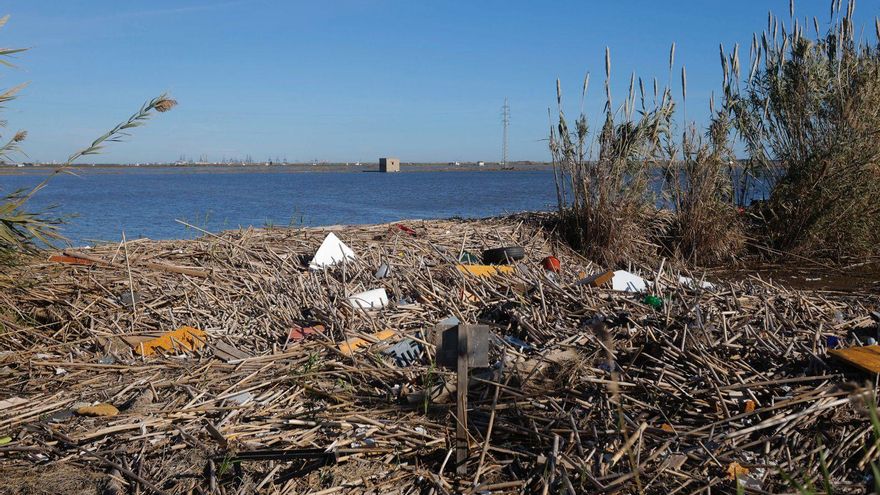 Las toneladas de barro arrastradas a l’Albufera presentan una baja toxicidad
