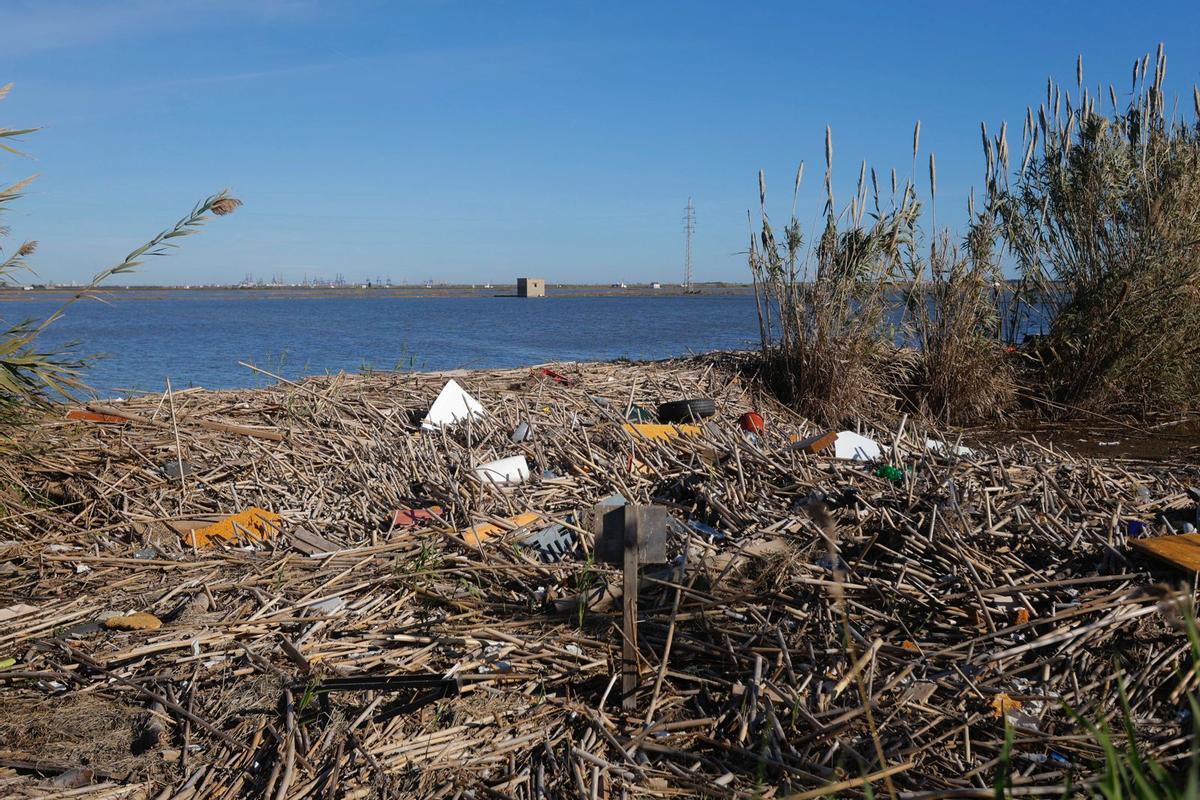 Estado de l'Albufera