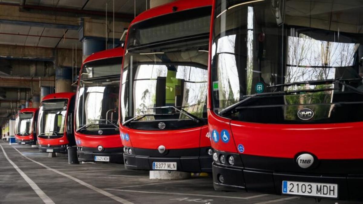 Diversos autobusos aparcats en la cotxera