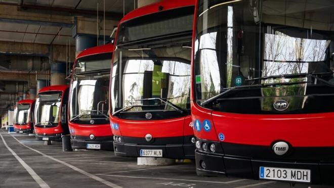 Diversos autobusos aparcats en la cotxera