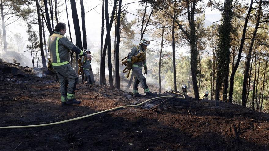 Agentes y brigadas forestales tras un incendio el pasado año en Paredes, Vilaboa.