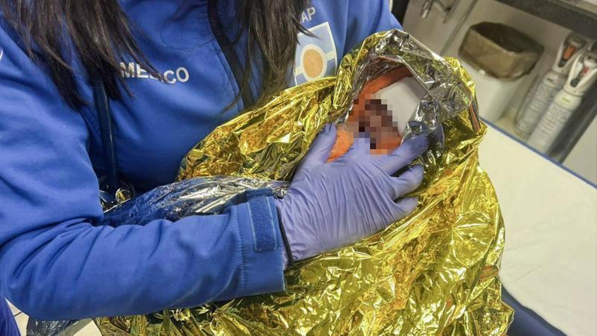 Imagen del bebé, que sobrevivió, tras ser rescatado.