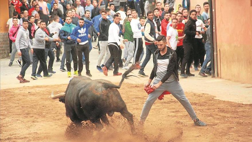 El cartel taurino de Sant Vicent da un salto de calidad con 9 cerriles