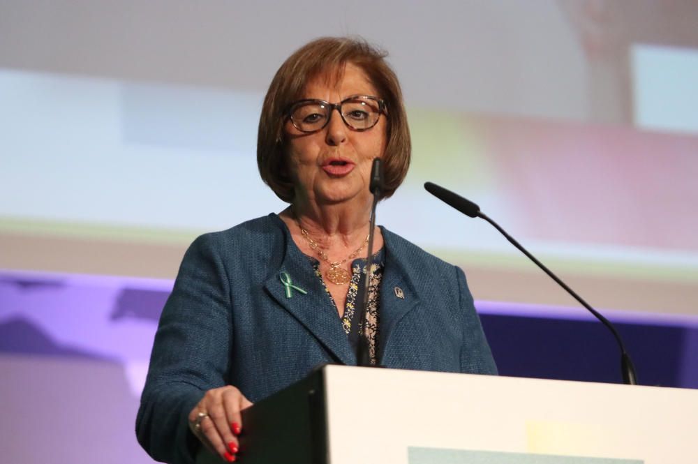 Marcos Fajardo, Miguel Ángel Catalina, María del Carmen Navas, Salvador Guzmán, Amparo Gallardo, Belén Cuesta, y en el apartado de empresas e instituciones, los servicios informativos de Canal Sur en Málaga, la Federación de Mujeres de la Comarca Nororiental de Málaga, el IES Guadalmedina y La Curruca, una panadería en Coín, los premiados.