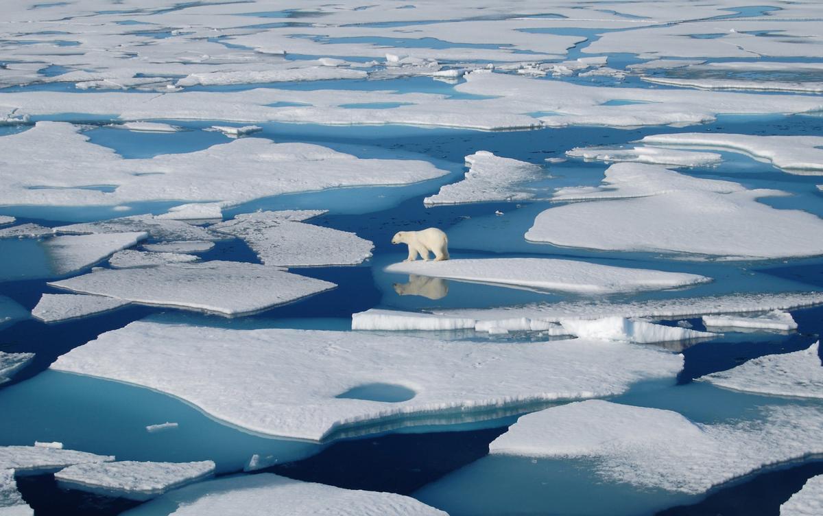 El Ártico y la Antártida se derriten