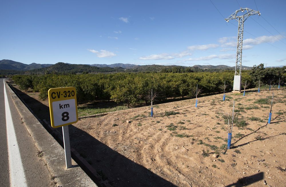 Estos son los terrenos donde irá la planta de placas solares de Renovalia en Sagunt