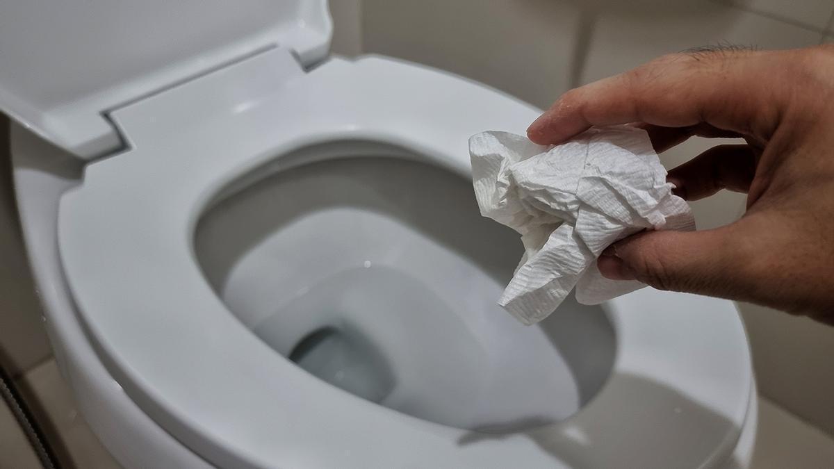 El motivo por el que la gente no utiliza papel higiénico: reacción tóxica que afecta a hormonas sexuales