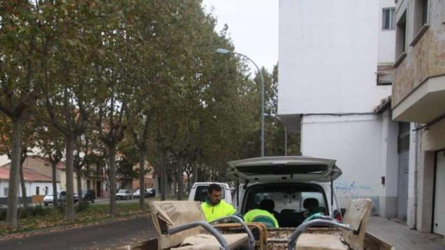 La capital renueva bancos y papeleras deteriorados por los actos vandálicos