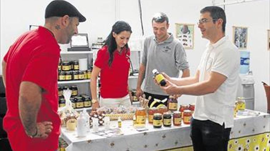 Almenara celebra su feria sobre apicultura