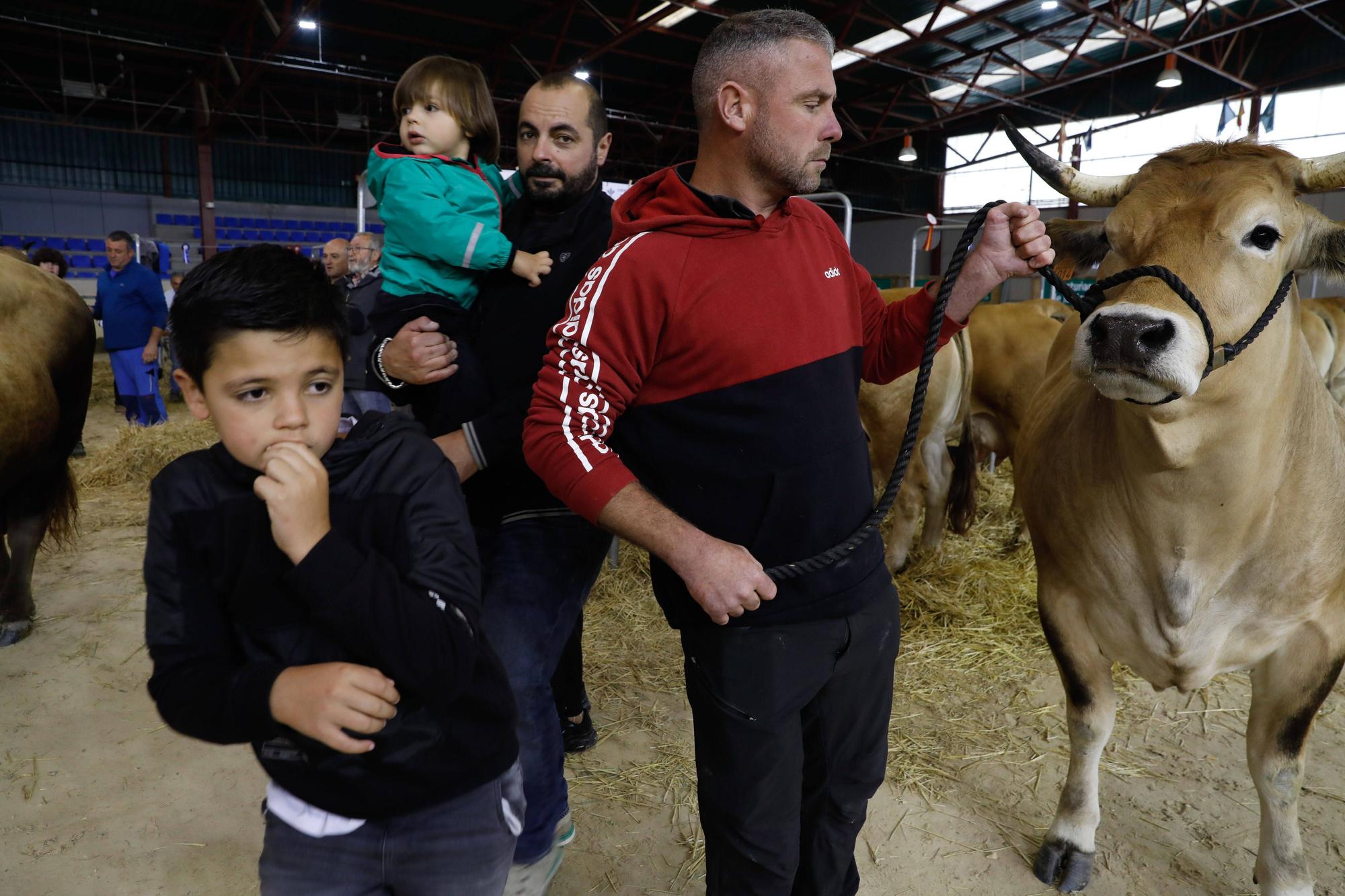 El gran cierre de La Ascensión: así fue la última jornada festiva en la feria del campo en Oviedo