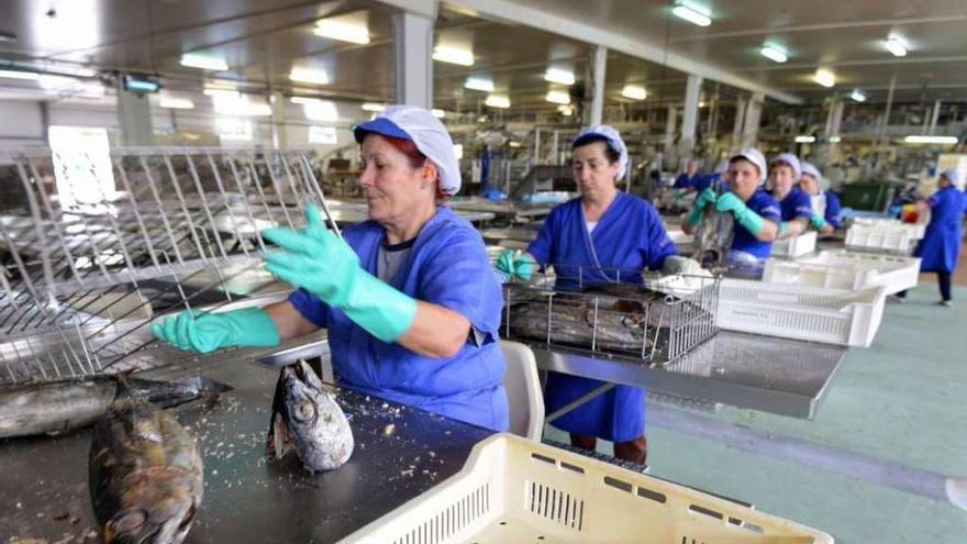 Trabajadoras en una conservera de la comarca. // Gustavo Santos