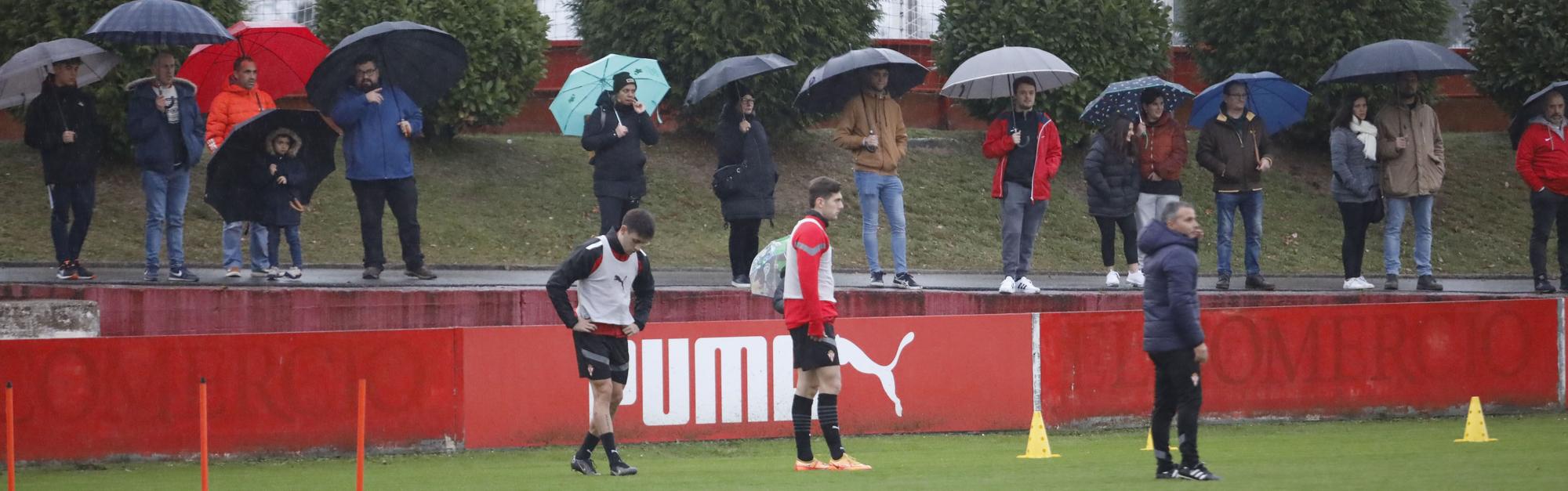 EN IMÁGENES: Vuelta del Sporting a los entrenamientos