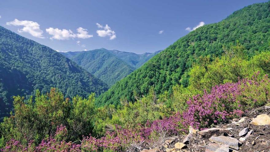 La reserva de Muniellos, joya del suroccidente asturiano.
